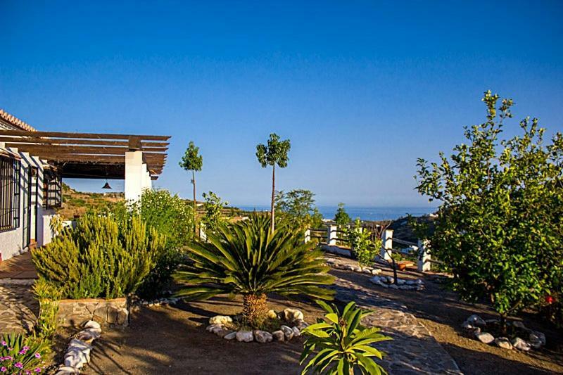 Villa Del Sol Фрихилиана Экстерьер фото